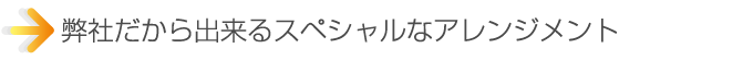 レーシングワークスだから出来るスペシャルなアレンジメント