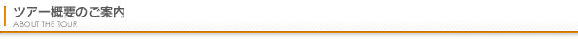 ツアー概要のご案内