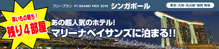 フリープラン2013 F1シンガポールグランプリ