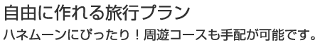 自由に作れる旅行プラン ハネムーンにぴったり!!周遊コースも手配が可能です。