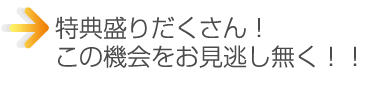 2010F1ベルギーグランプリ・フリープラン